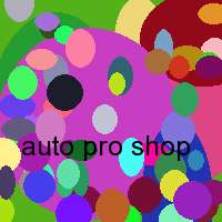 auto pro shop