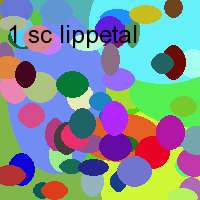 1 sc lippetal