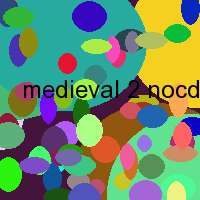 medieval 2 nocd